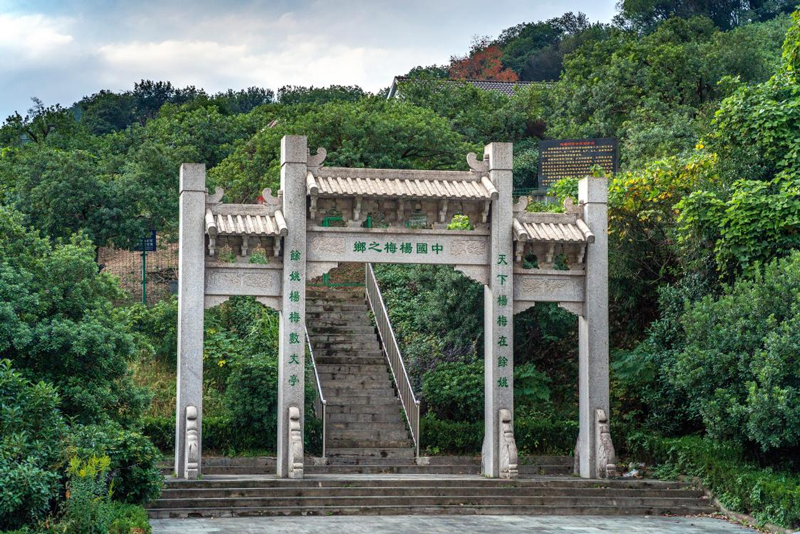 中国杨梅种质资源圃。余姚市委宣传部供图