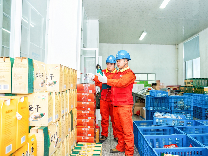 检查用电设备。国网湖州南浔供电公司供图