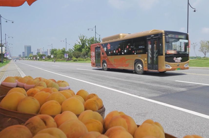 桃熟了，车通了，村富了