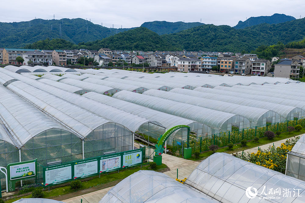 空中俯瞰浙江省台州市黄岩区西甜瓜科创园。人民网 章勇涛摄