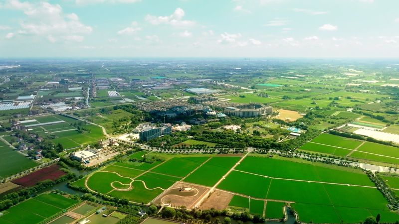 嘉兴市嘉善县大云旅游度假区。农行嘉兴分行供图