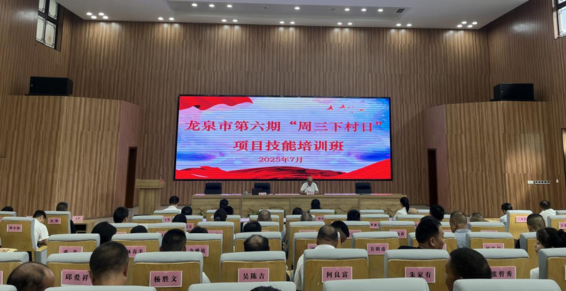 “周三下村日”项目技能培训。龙泉市委宣传部供图
