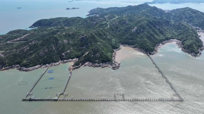 金丰海洋牧场。鹿西乡供图