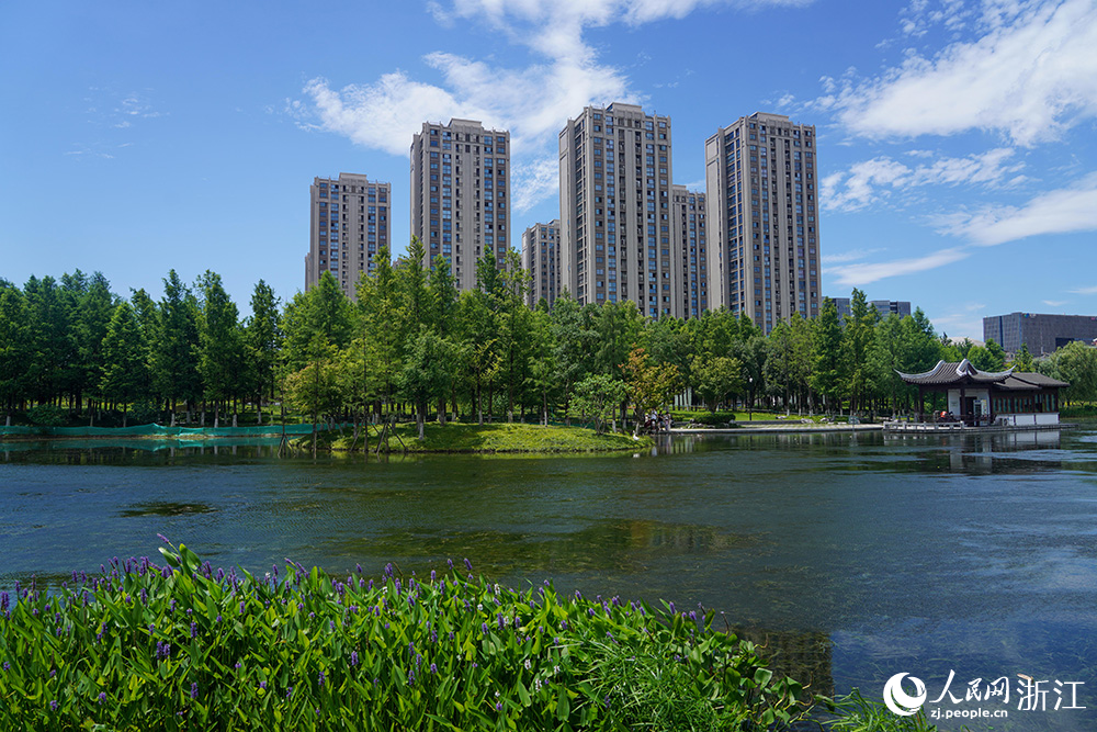 浙江省杭州市拱墅区石桥街道北景园生态公园内，公园绿地与周边民房社区相融共生。人民网 章勇涛摄