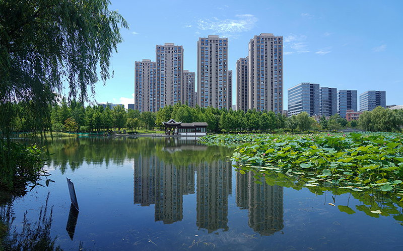 浙江杭州：荷塘绕城居 生态润民生