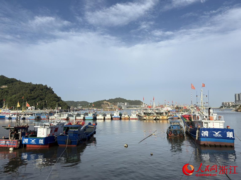 洞头全区494艘在册渔船已全部在港避风。人民网 程欣摄
