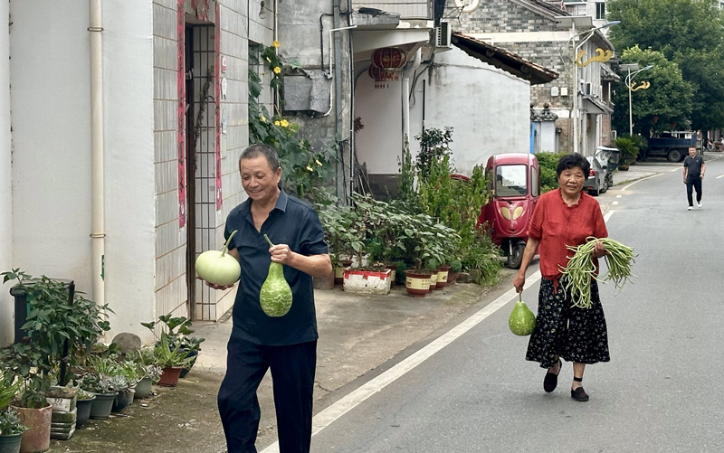 村民自发送菜到安置点。龙泉市委宣传部供图