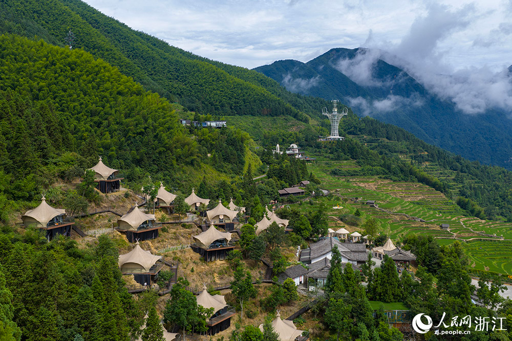 7月29日，浙江省丽水市云和梯田景区满目葱茏，层层绿浪随山势起伏。人民网 章勇涛摄
