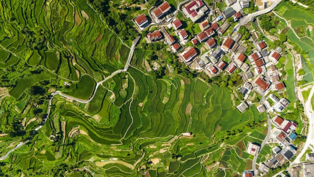 小舟山。丽水文广旅体局供图