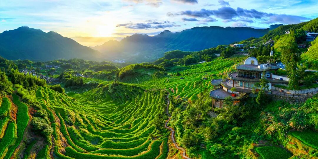云和梯田·九曲云环。丽水文广旅体局供图