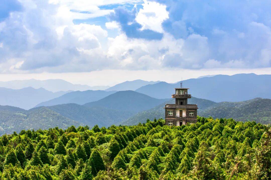 百山祖景区。周勇摄