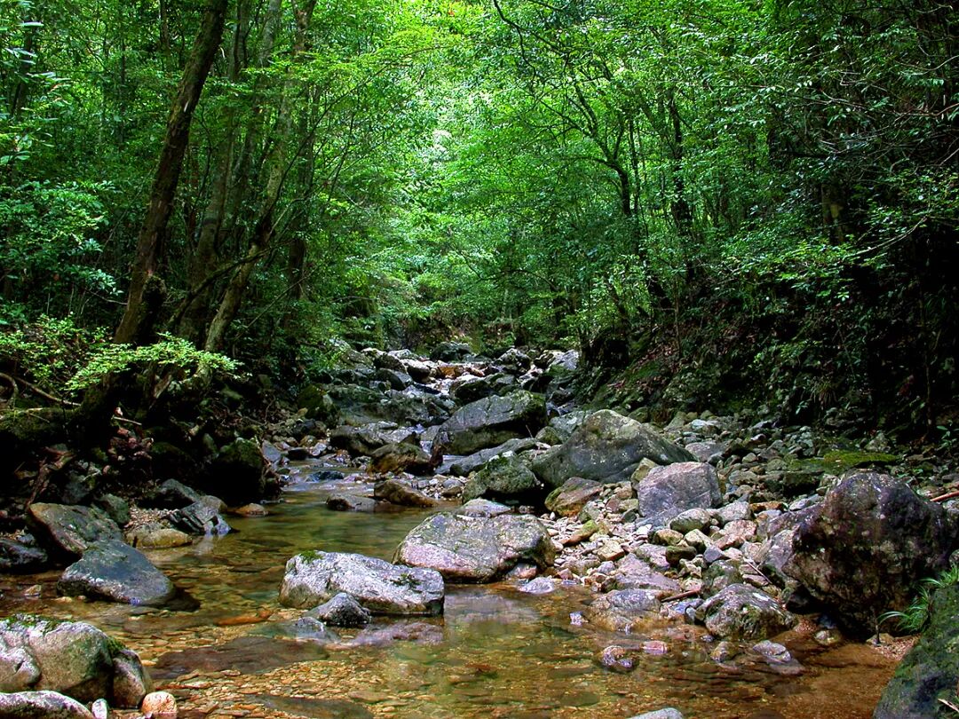 千岗峡。姚家飞摄