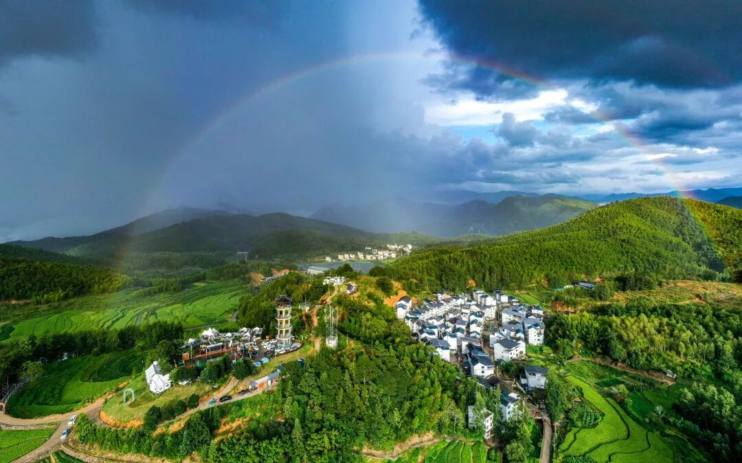 莲湖村。丽水文广旅体局供图