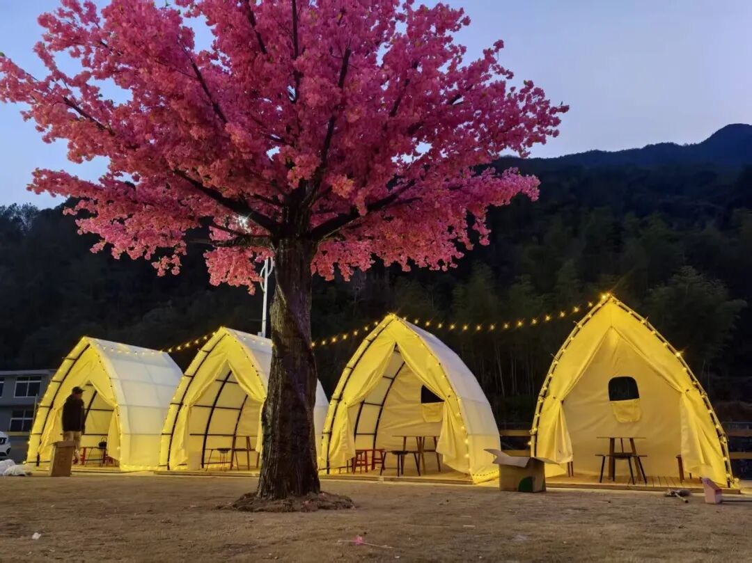 可·濛淤拾。丽水文广旅体局供图