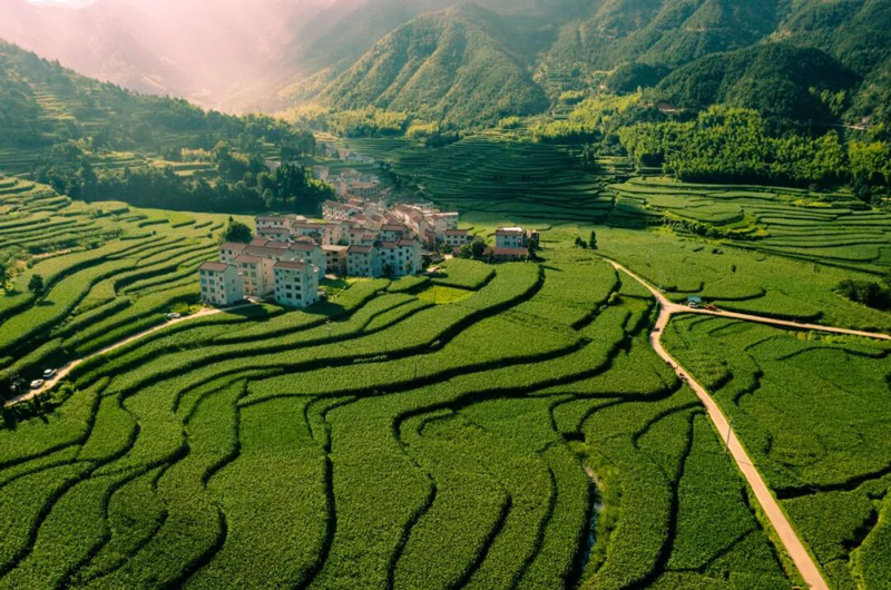 缙云县大洋镇。丽水文广旅体局供图