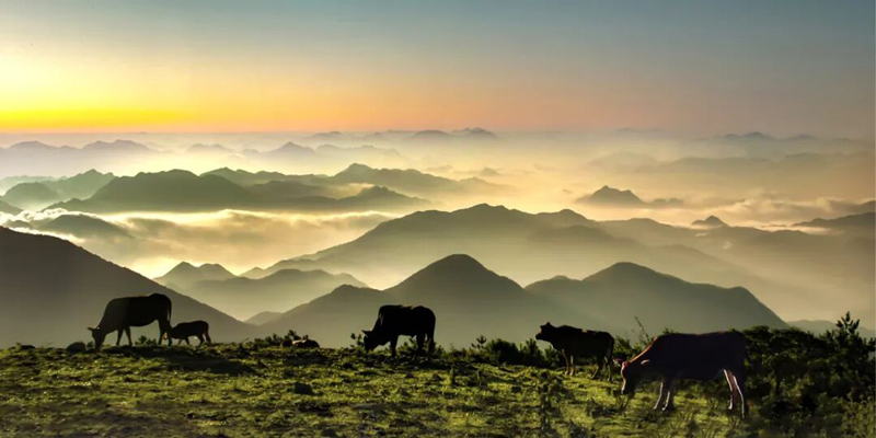日出云海。丽水文广旅体局供图