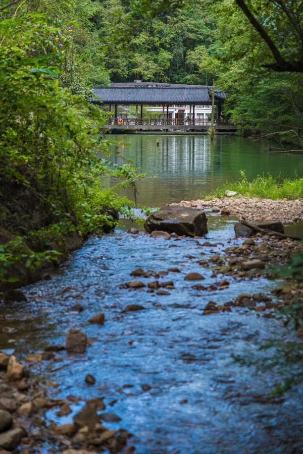 千佛山景区。丽水文广旅体局供图