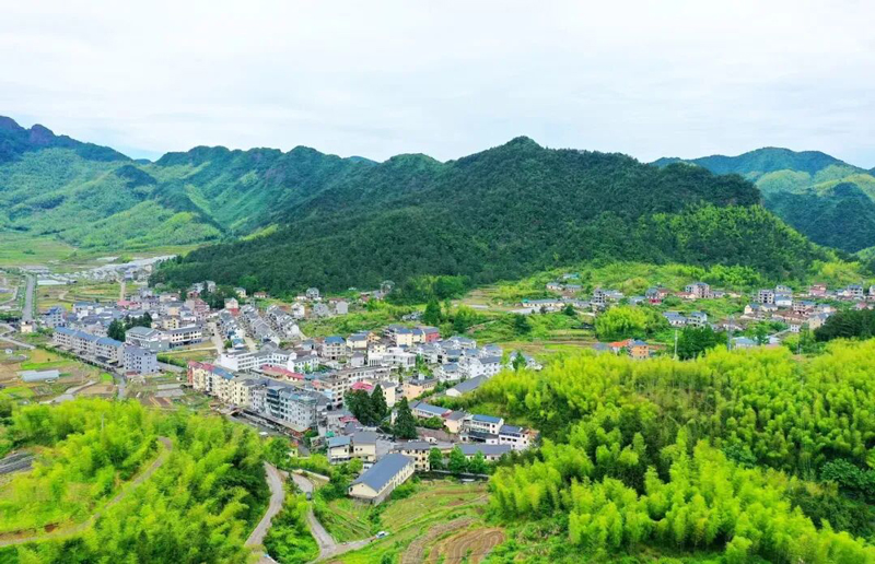高坪新村。丽水文广旅体局供图
