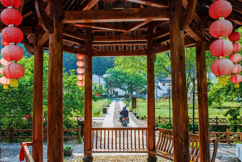 田园伏叶。丽水文广旅体局供图