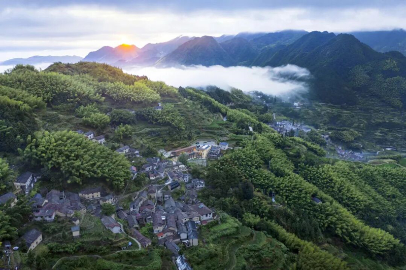 陈家铺航拍。丽水文广旅体局供图