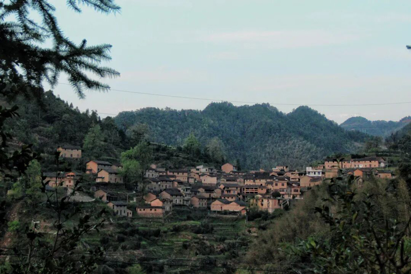 塘后村。丽水文广旅体局供图