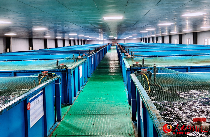 水体实现循环。人民网记者 张丽玮摄