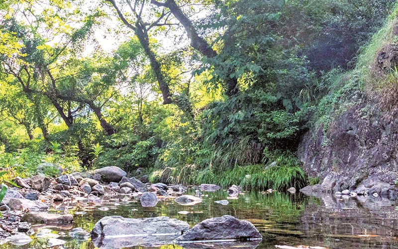 绿水青山绘就秀美画卷