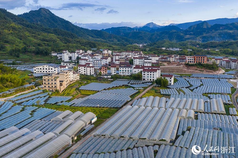 在浙江省丽水市缙云县双溪口乡葡萄基地,成片的大棚,与青山民居、道路河流交相辉映,绘就一幅美丽乡村画卷。人民网 章勇涛摄