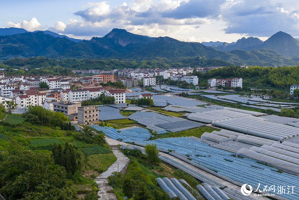 在浙江省丽水市缙云县双溪口乡葡萄基地，成片的大棚，与青山民居、道路河流交相辉映，绘就一幅美丽乡村画卷。人民网 章勇涛摄