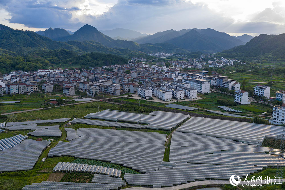 在浙江省丽水市缙云县双溪口乡葡萄基地，成片的大棚，与青山民居、道路河流交相辉映，绘就一幅美丽乡村画卷。人民网 章勇涛摄