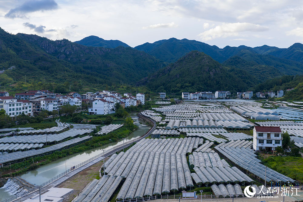在浙江省丽水市缙云县双溪口乡葡萄基地，成片的大棚，与青山民居、道路河流交相辉映，绘就一幅美丽乡村画卷。人民网 章勇涛摄