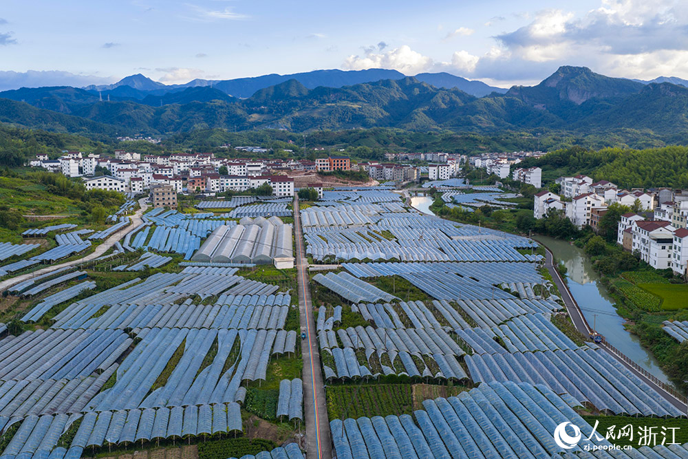 在浙江省丽水市缙云县双溪口乡葡萄基地，成片的大棚，与青山民居、道路河流交相辉映，绘就一幅美丽乡村画卷。人民网 章勇涛摄