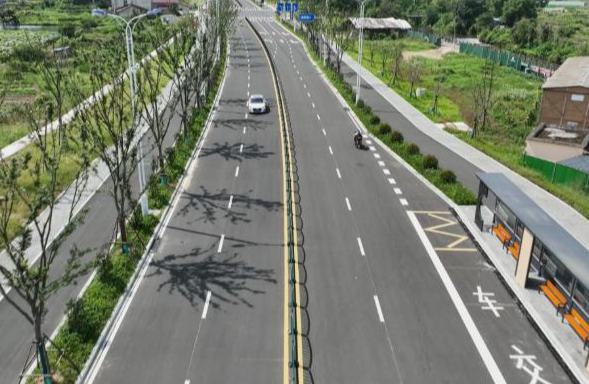 告别拥堵！云和这条路正式通车→
