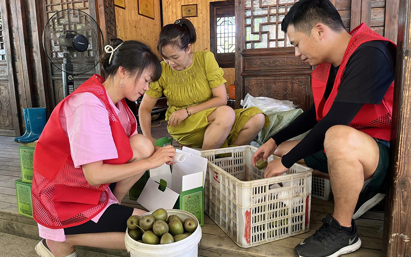 “香溢”志願者幫忙村民把獼猴桃裝箱。遂昌煙草供圖