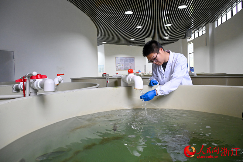 在浙江省海洋水产养殖研究所南麂海洋科技中心，科研人员正在对大黄鱼生活的环境进行水质检测。人民网记者 叶宾得摄