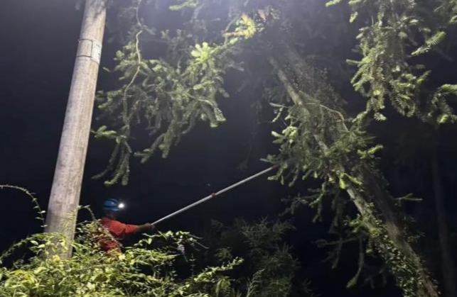 从迎战到坚守，莲都这群人的身影一直都在
