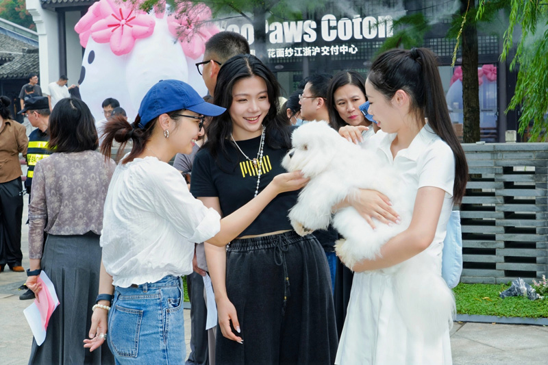 寵物經濟多元升級。上城區委宣傳部供圖