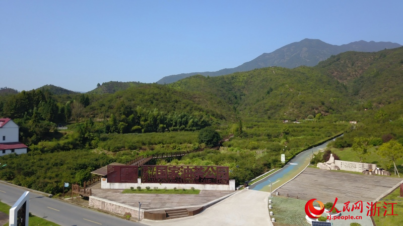 從空中俯瞰浙江常山國家油茶公園。人民網 程欣攝