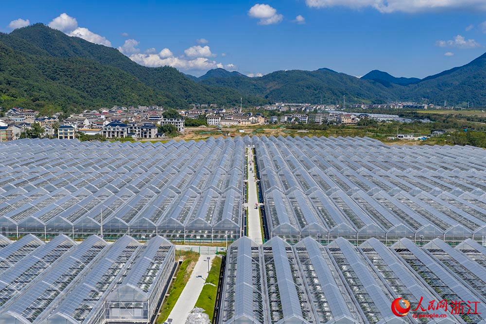 10月9日,从空中俯瞰浙江省台州市黄岩区一处现代化蓝莓种植基地,24座薄膜大棚整齐排列。人民网 章勇涛摄