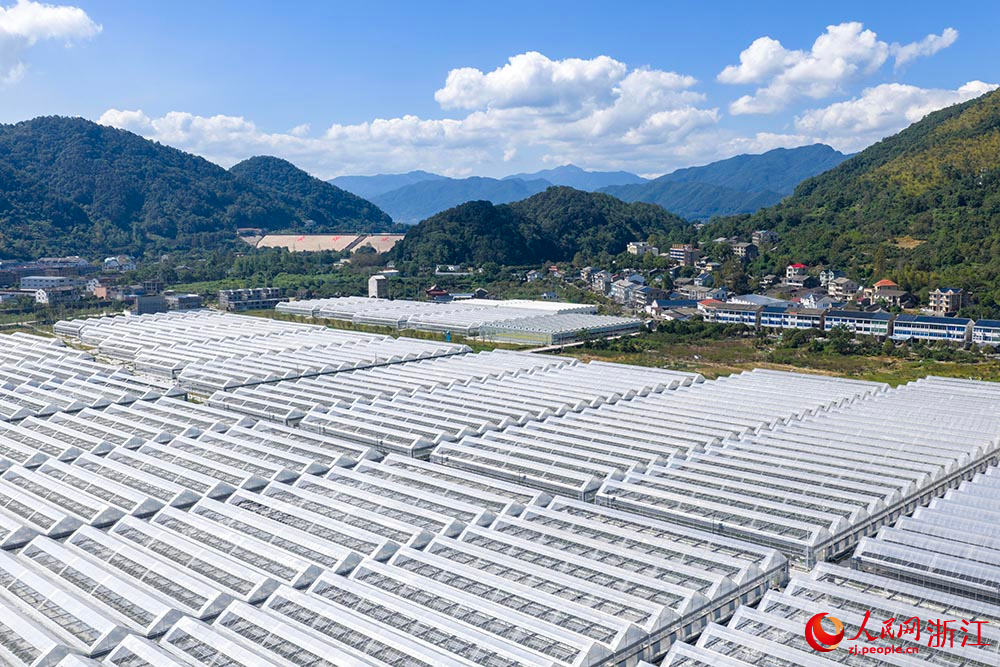 10月9日，从空中俯瞰浙江省台州市黄岩区一处现代化蓝莓种植基地，24座薄膜大棚整齐排列。人民网 章勇涛摄