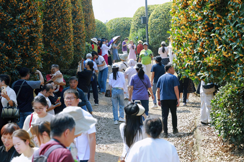 游客在桂博園裡拍照打卡。蔣才攝