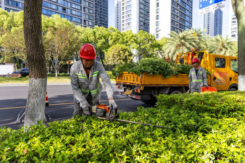 養護提升道路沿線景觀。溫州市綜合行政執法局供圖