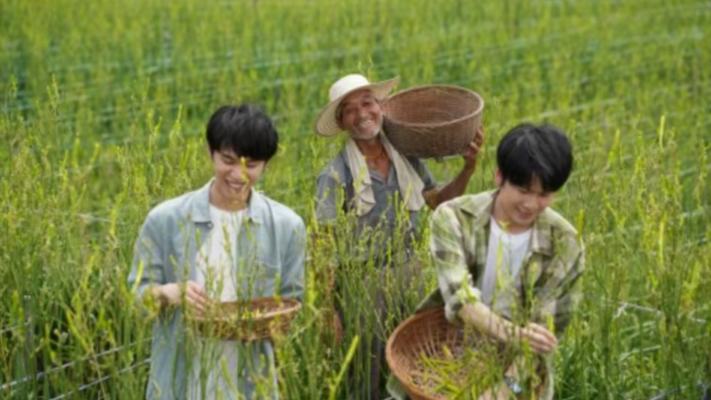 热度超2500万！缙云溶江微短剧上线