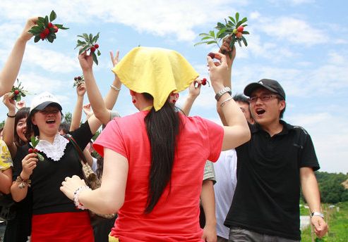 初凝一颗值千金--上虞二都杨梅开摘