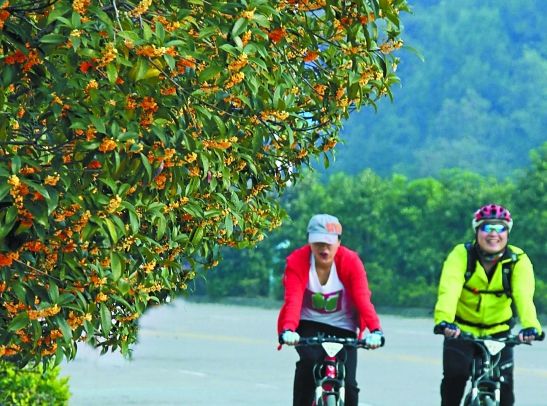金华桂花城里安地香别墅6小岛图片