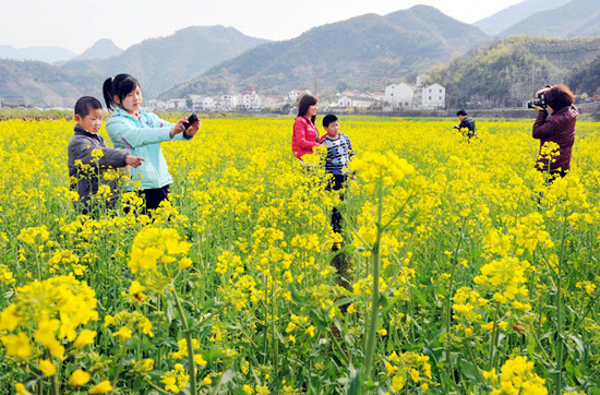 绍兴诸暨东白湖万亩油菜花盛开