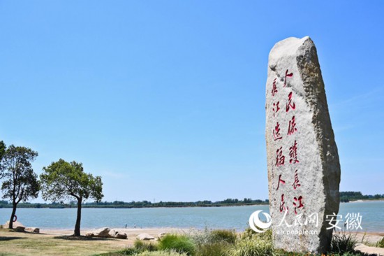 马鞍山芦苇江滩。人民网 周坤摄