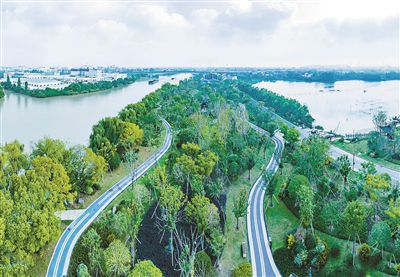 杭州临平区建设高品质绿道串联起幸福慢生活