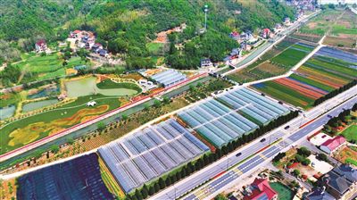 乾潭鎮前陵村杜鵑花卉共富工坊種植基地（航拍圖） 市林水局供圖