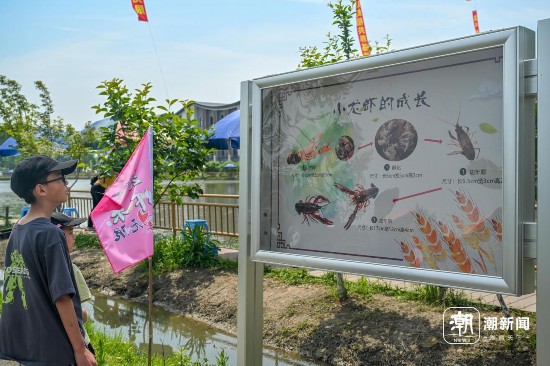 活動現場